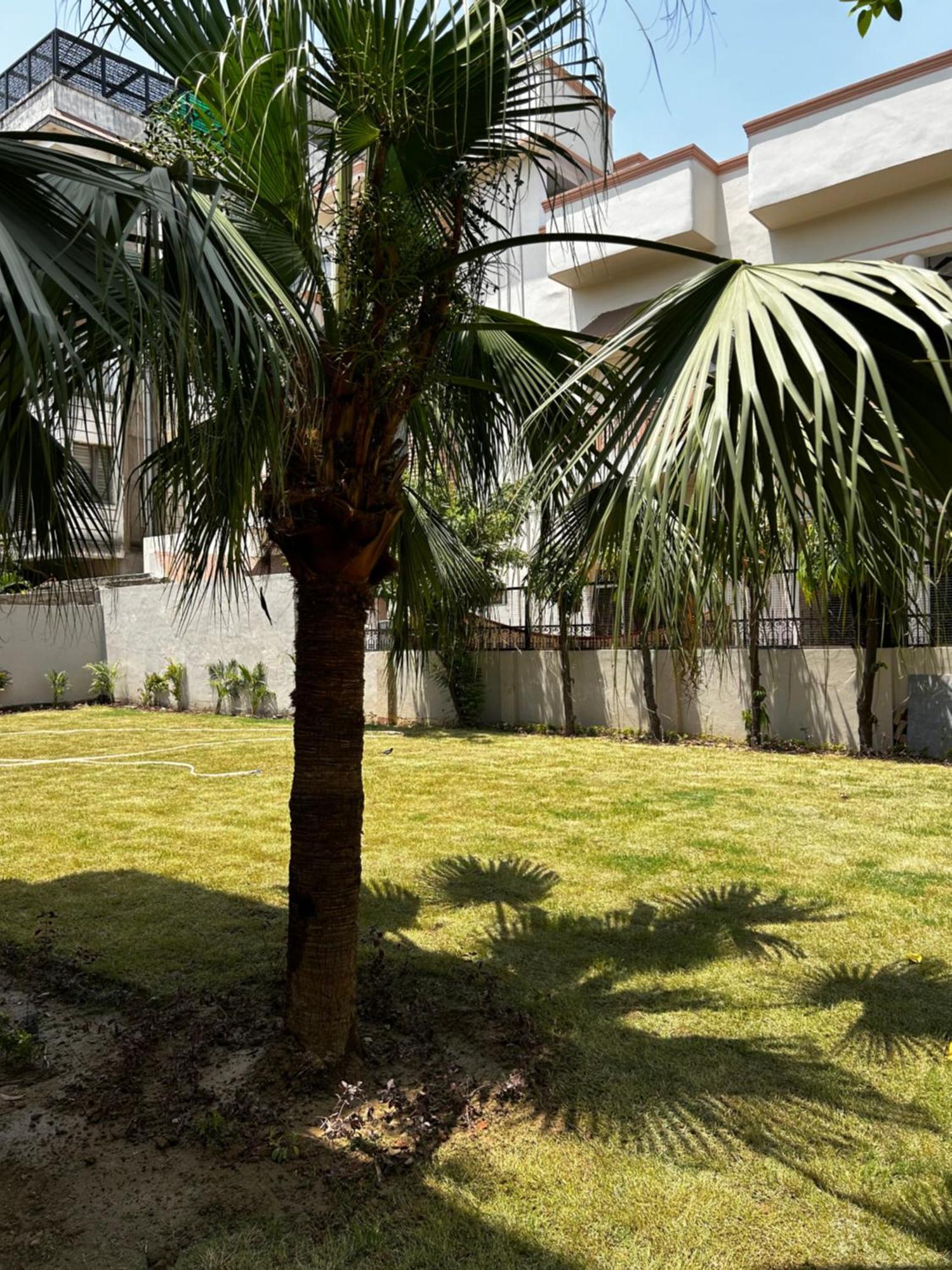 Ashirvad Homestay Varanasi Ngoại thất bức ảnh